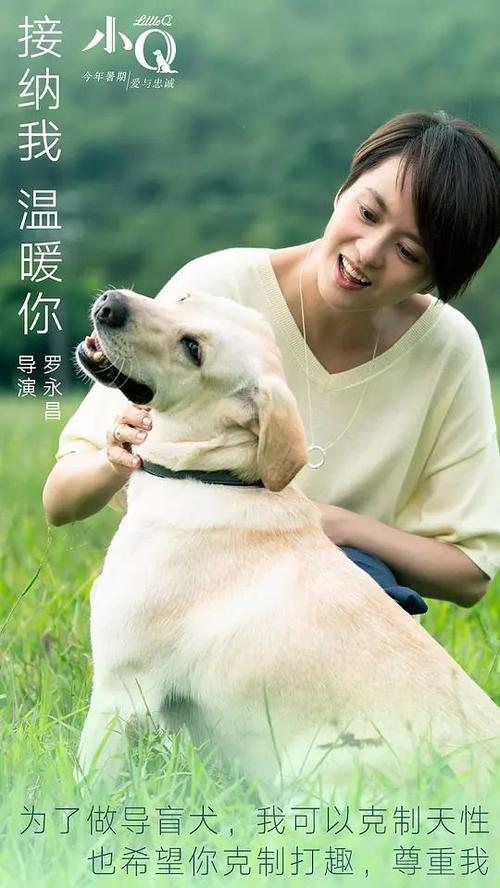 买张圣母颂大学文凭毕业证